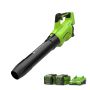 24V dmuchawa Greenworks GD40ABIIK2X - 2