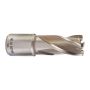 Milwaukee - Frez obwodowy 17 mm - 4932343273 - 2