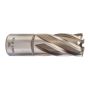 Milwaukee - Frez obwodowy 19 mm - 4932343275 - 2