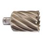 Milwaukee - Frez obwodowy 49 mm - 4932371776 - 2