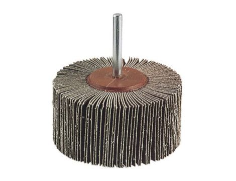 Szlifierka wachlarzowa 50x20 mm Wolfcraft - gr. 80, trzpień 6 mm