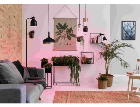 Źródło światła prowzrostowe LED Plant R50 E14 4W 1300K 100lm 230V srebrny / szkło - 3