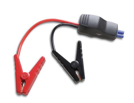 BETA - Przewody wyjściowe z zaciskami do modelu 1498MN/12 - 1498MN/12-C