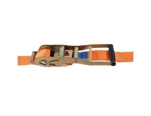 BETA - Pas mocujący 50mm/8,5m z napinaczem zapadkowym dwukierunkowym i pojedynczym hakiem  - 8184/8.5