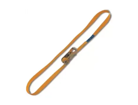 BETA - Pas mocujący zamknięty, napinacz zapadkowy 750kg 25mm (5m)   - 8185/5M