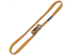 BETA - Pas mocujący zamknięty, napinacz zapadkowy 750kg 25mm (8m)   - 8185/8M