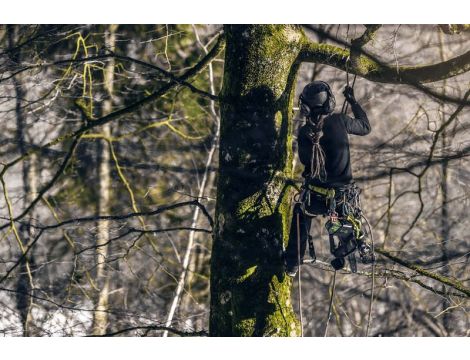 40V Pilarka z górnym uchwytem 25 cm GD40TCS - 4