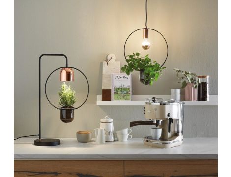 Lampa wisząca z doniczką NEORDIC TASJA E27 max.1x20W 230V czarny / miedziany / metal - 3