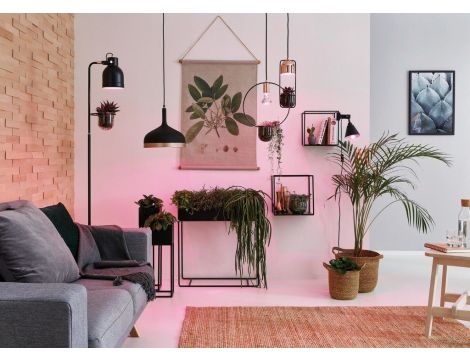 Lampa wisząca z doniczką NEORDIC FANJA GU10 max.1x20W 230V czarny / miedziany / metal - 5