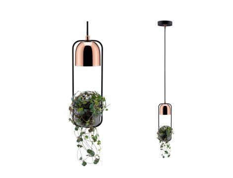 Lampa wisząca z doniczką NEORDIC FANJA GU10 max.1x20W 230V czarny / miedziany / metal