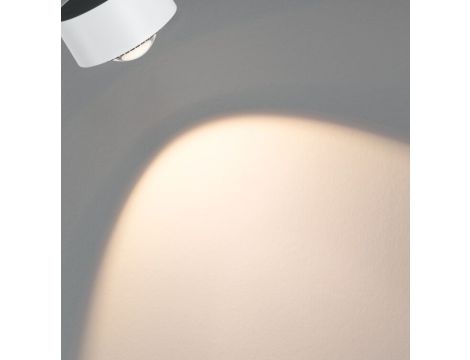 Reflektor na szynoprzewód URail ALDAN DIM 8W 498lm 2700K 230V biały  /  metal - 8