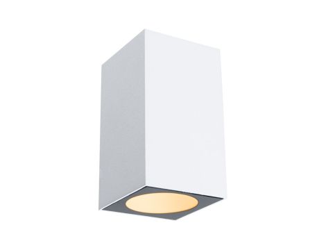 Oprawa elewacyjna FLAME IP44 4W 265lm 2200K 230V biały