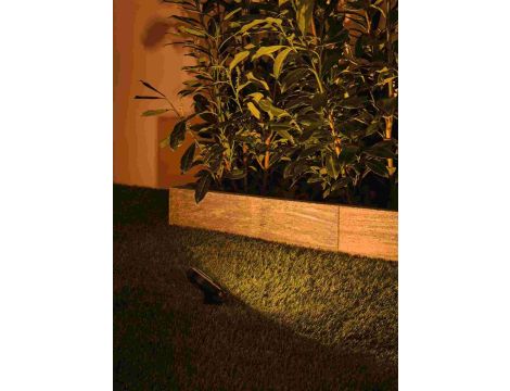 Reflektor ogrodowy Plug & Shine STING LED 3x 6.3W 2200K IP67 24V antracyt/ aluminium - 4