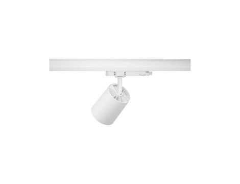 Reflektor na szynoprzewód ProRail3 KRATOS 25W 50st. 3000K 230V biały / metal - 3