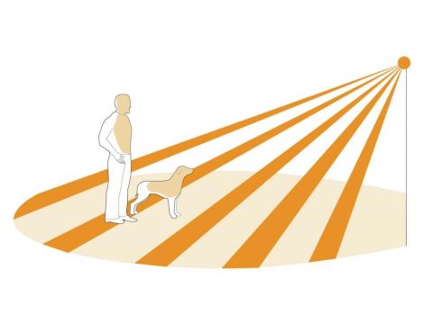 Czujnik obecności i zmierzchu Steinel IR Quattro HD-2 24m COM1 Bluetooth Mesh  natynkowy IP54 kwadrat biały - 4