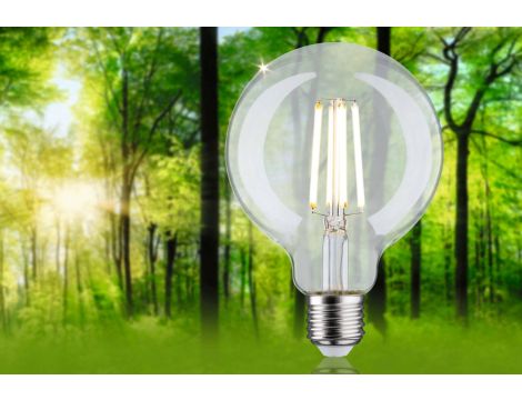 Źródło światła LED ECO LINE G95 4W 840lm E27 3000K 230V przezroczysty / szkło - 2