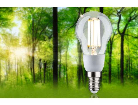 Źródło światła LED ECO LINE G45 2.5W 525lm E14 3000K 230V przezroczysty / szkło - 2