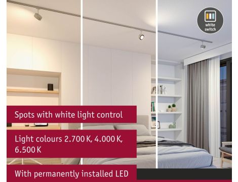 Reflektor na szynoprzewód URail ALDAN 8W 500lm 2700K-6500K 230V chrom matowy / metal - 7