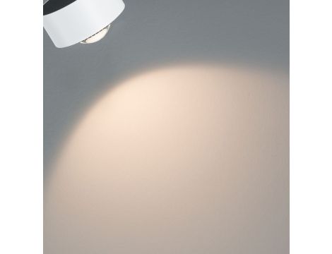 Reflektor na szynoprzewód URail ALDAN 8W DIM 470lm 4000K 230V biały RAL9003 / metal - 8