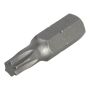 Końcówka Solid, torx 25, wolfcraft (2 szt.) - 2