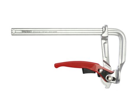 TengTools - Ścisk śrubowy szybki 250x120 mm - CMFQ25