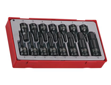 TengTools - 15-elementowy zestaw nasadek maszynowych trzpieniowych sześciokątnych TT9015HX - TT9015HX