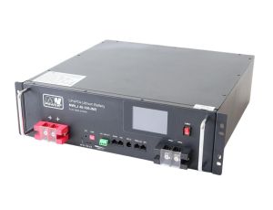 Akumulator LiFePO4 51.2V 100Ah MWLJ 48-100-INR