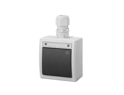 AQUANT 2K łącznik natynkowy zwierny światło IP65 szary 5004-65