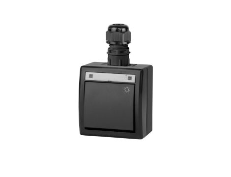 AQUANT 2K łącznik natynkowy zwierny światło IP65 antracytowy 5004-67