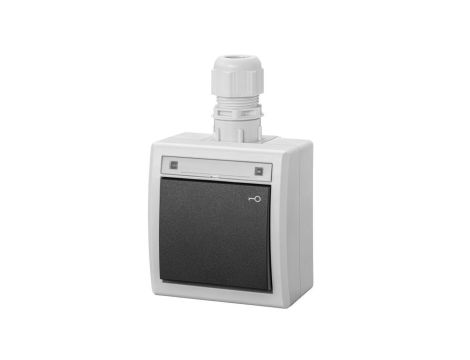 AQUANT 2K łącznik natynkowy zwierny klucz IP65 szary 5007-65