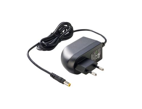 Zasilacz wtyczkowy 24V 1A 24W EU 2.1x5.5 SYS1308N-2424-W2E