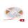 Taśma LED-COB-12V/8W-WW/5M - 3000K