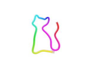 Neon LED RGB KOT FLRN03 + pilot Forever Light