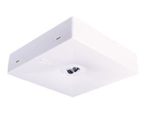 Oprawa sieciowo-awaryjna natynkowa STARLET QUAD SC 150 M 1H MT / 92902