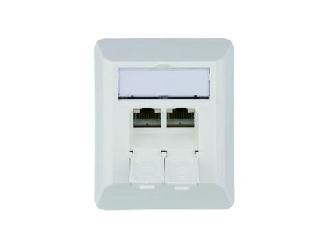 Telegärtner Gniazdo natynkowe 2xRJ45 ekranowane kat.6A białe