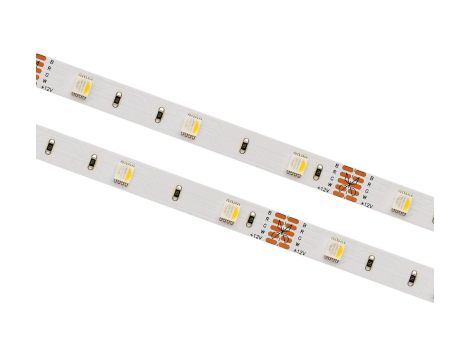Taśma 30LED/m 1m 24V 9.6W RGB+3000K IP20 490lm 10mm SPB-30-RGBWW-24