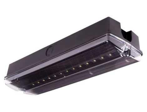 Oprawa ewakuacyjna/awaryjna ORION II 100 M 1H MT IP65 BLK + (OR7, OR8) / 89299