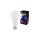 EXTRALINK smartlife żarówka LED E27 A70 2700-6500K WIFI 220-240V 1055lm LED E27 A70