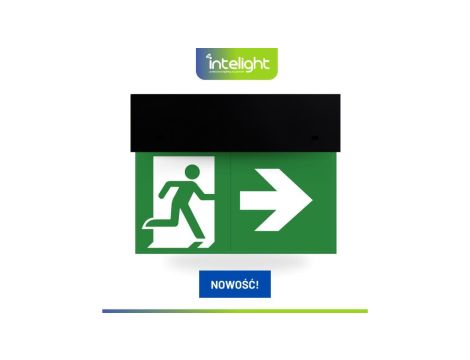 Oprawa ewakuacyjna DIRECTO S M 1H MT BLK + (VD3, VD4, VD5 x 2) / 90681