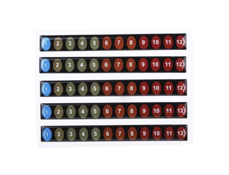 Wskaźnik temperatury — etykieta 12-skalowy