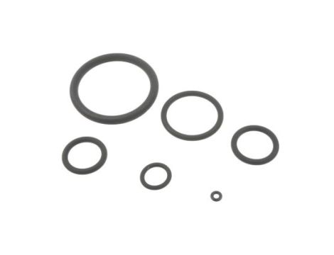 Zestaw oringów, wymiary calowe Viton, Kit Contents 382 szt. RS PRO