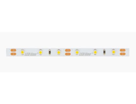 Taśma LED line 300 SMD3528 12V 6500K 4,8W 5 lat gwar. 249433/30m/