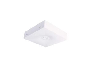 Intelight Oczko awaryjne N/T STARLET QUAD LED SO 150 SA 3H MT IP20 MANUAL TEST 3,5W białe 92814