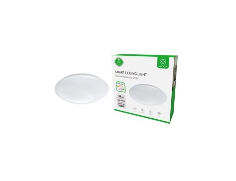 Sufitowa Smart lampa LED 30cm zdalnie sterowana WiFi, R5111