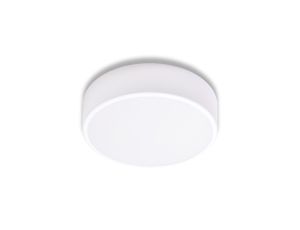 Oprawa MEGA 300, 2xE27, 2x40W, obudowa stalowa-biała, klosz szklany-mleczny, IP20 MEGA 300 BIAŁY