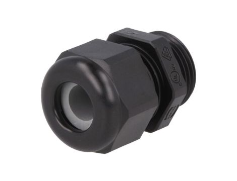 Dławnica czarna M20 19000005181