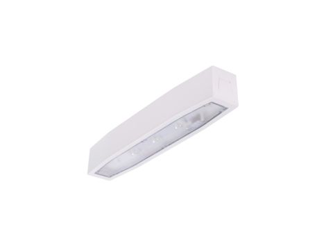 Oprawa sieciowo-awaryjna natynkowa SUPREMA SO 150 M 3H AT IP54 NT / 94504