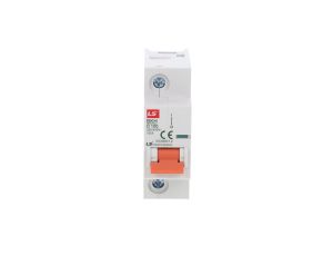 Wyłącznik nadprądowy 1,5 modułu 1P D 100A 10KA BKH 1P D100A 06110335R0