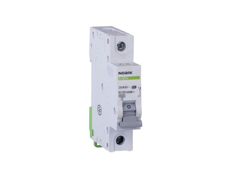 Wyłącznik nadprądowy 1P B 40A 6kA Ex9BN