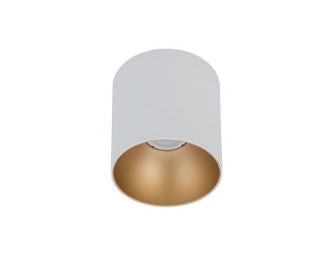 Spot POINT TONE WHITE/GOLD 8221 Nowodvorski